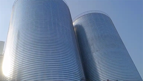 海西直辖2座混凝土高架卷板仓